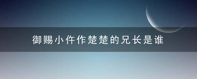 御赐小仵作楚楚的兄长是谁 御赐小仵作楚楚的兄长是哪位